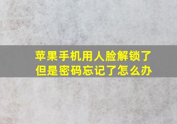 苹果手机用人脸解锁了 但是密码忘记了怎么办